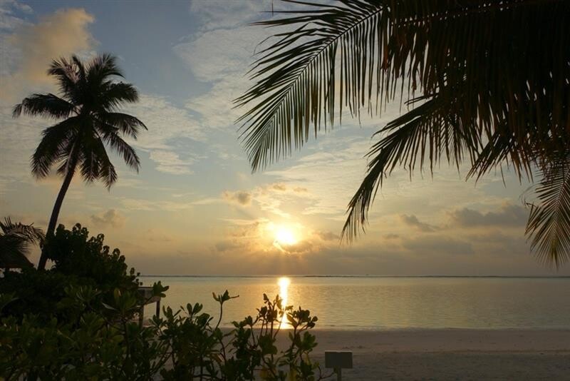 2f4d112e-ce56-44cf-954e-d9864cc6ea23 2f4d112e-ce56-44cf-954e-d9864cc6ea23