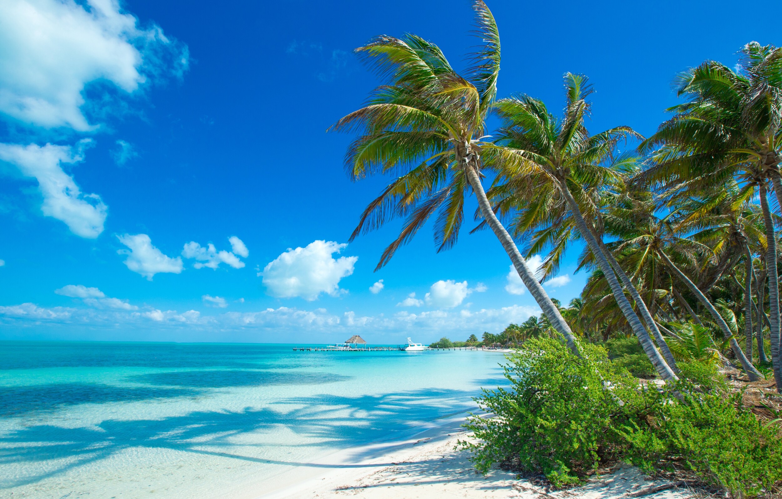 shutterstock_2737186677 (1)
