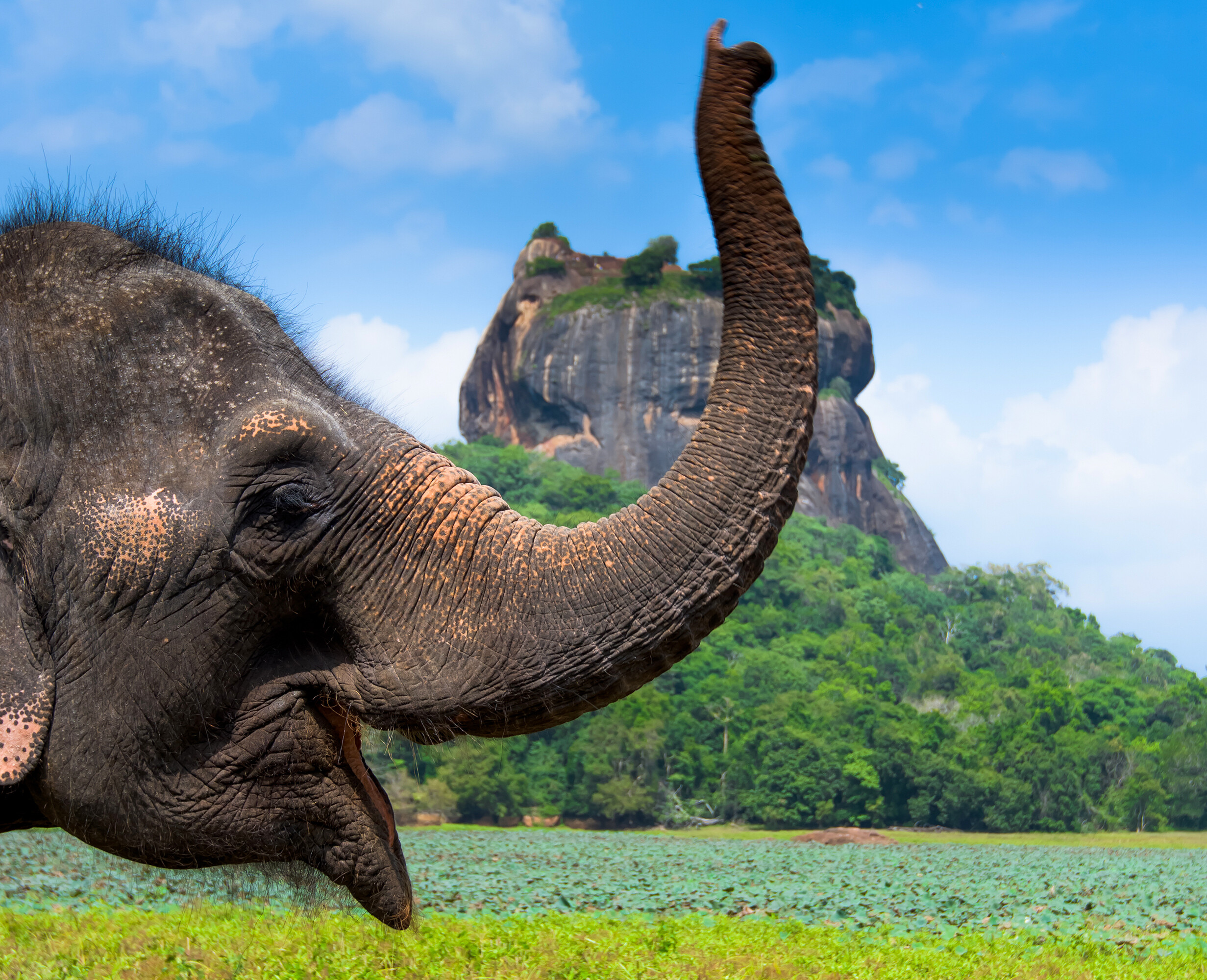 Sri Lanka - Tempel, Safari & Traumstr&auml;nde  - Sri Lanka