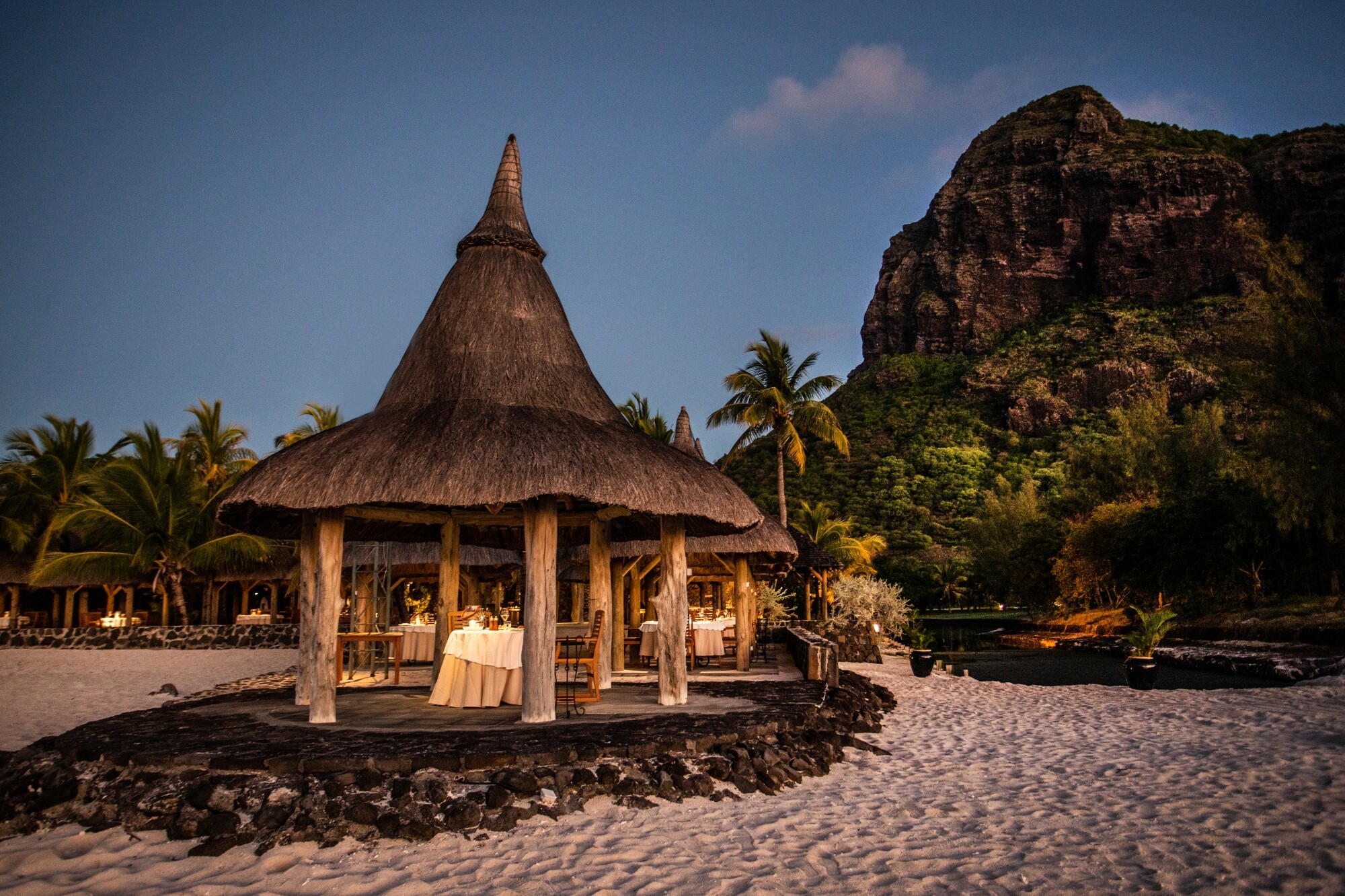 PARADIS HIRES_J0A3161