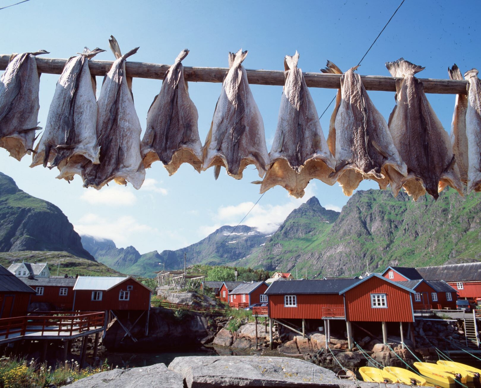 Norwegen_Lofoten_Stockfisch.jpg