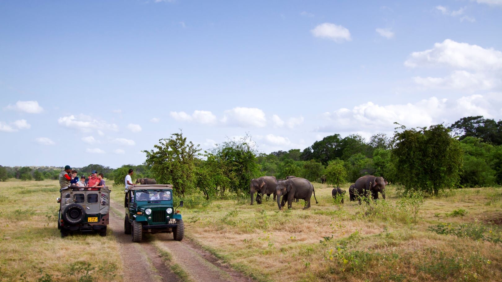 Sri_Lanka_Game_Drive_Minneriya_Nationalpark.jpg