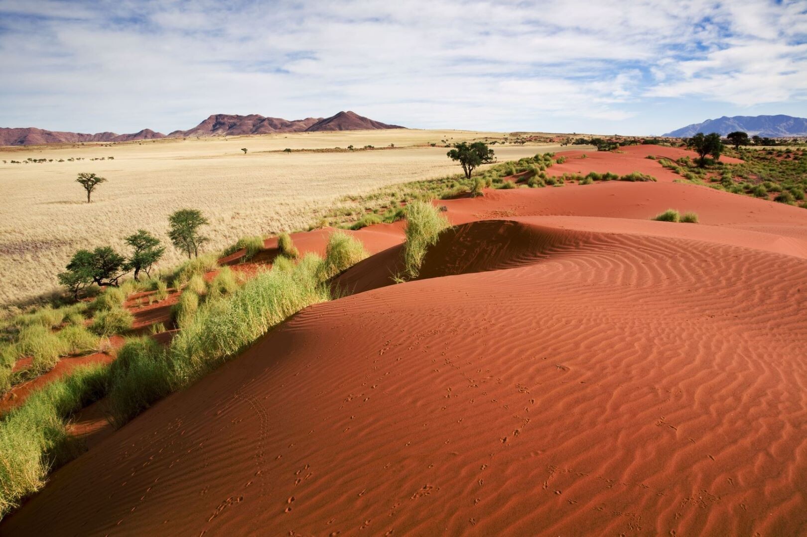 Namibia_Namib_Wueste