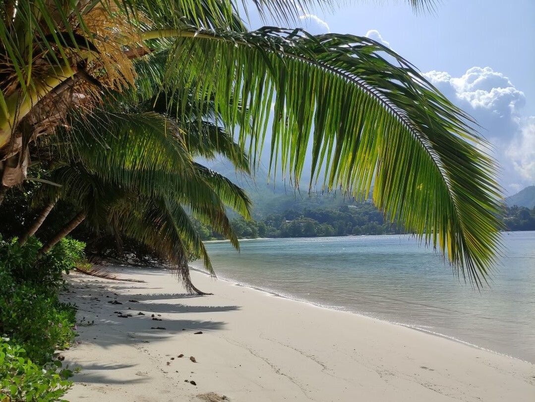 Constance_Ephelia_Südstrand