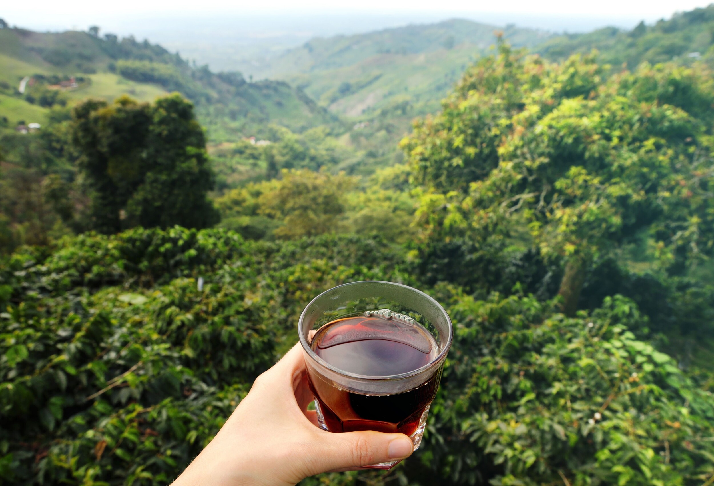 shutterstock_2293559637