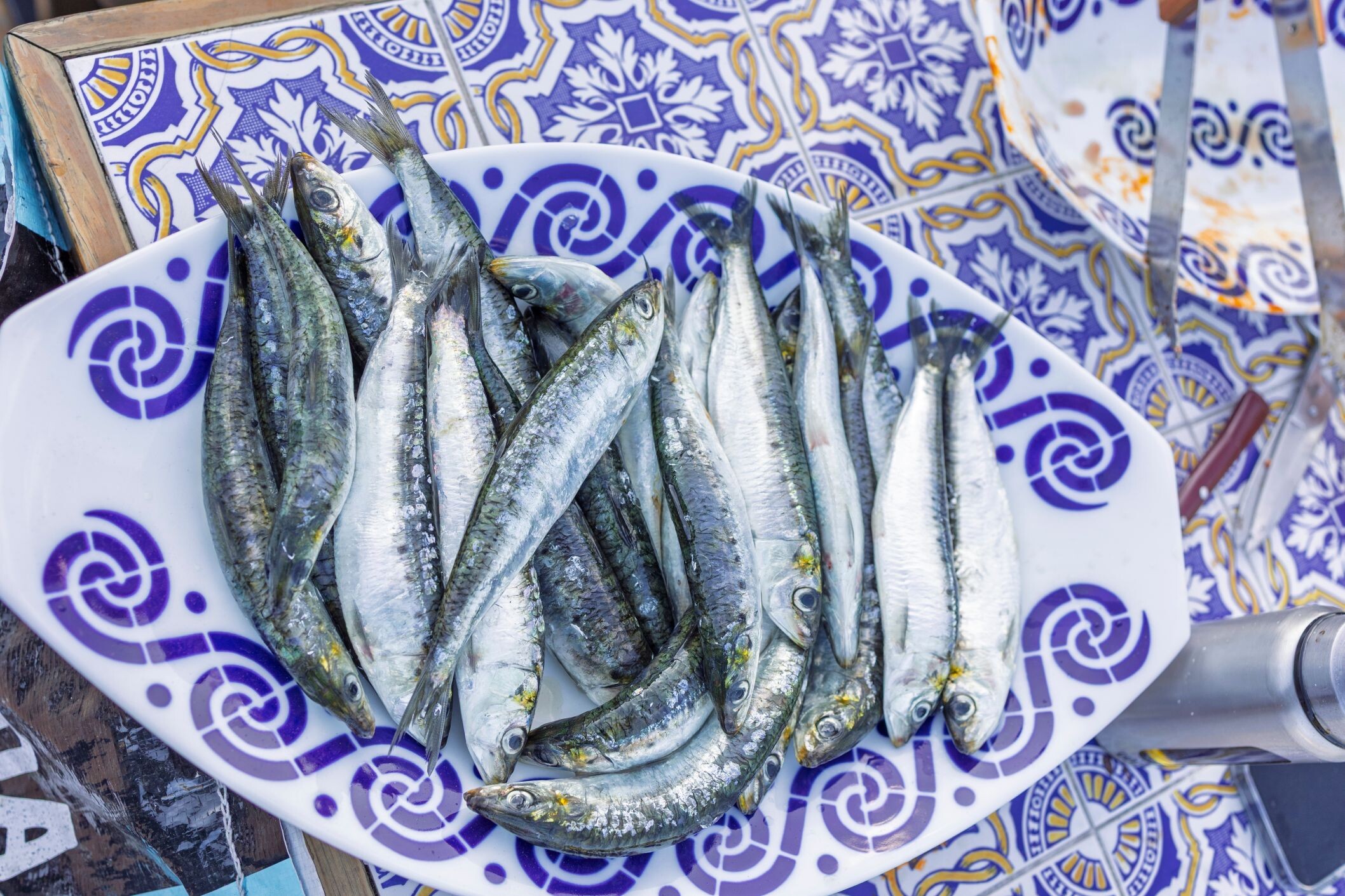 PT_Sardinen_Azulejos_Fliesen_shutterstock_2649257015.jpg
