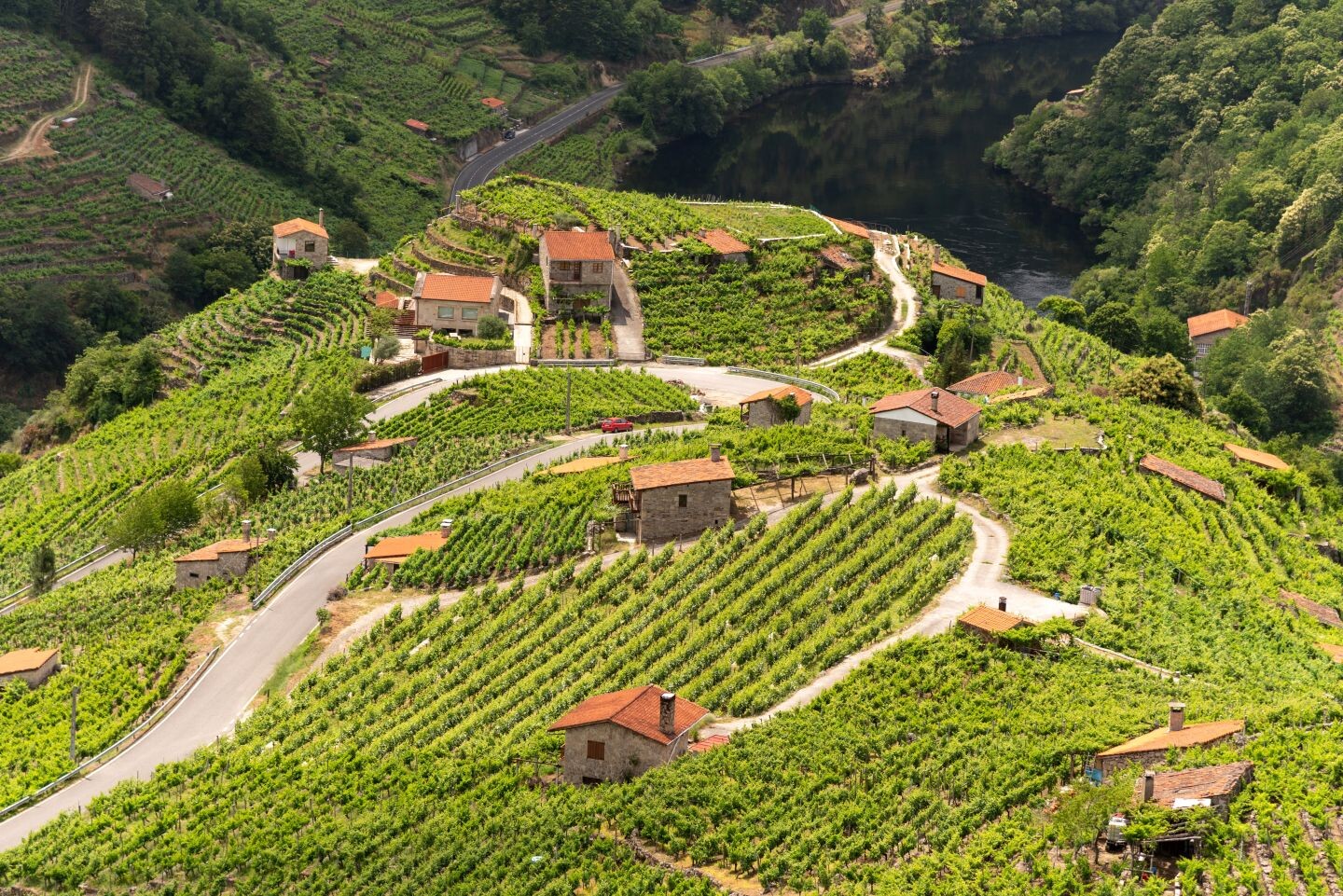 SP_Galicien_Weinberge_Ribeira_Sacra_shutterstock_2277079987.jpg