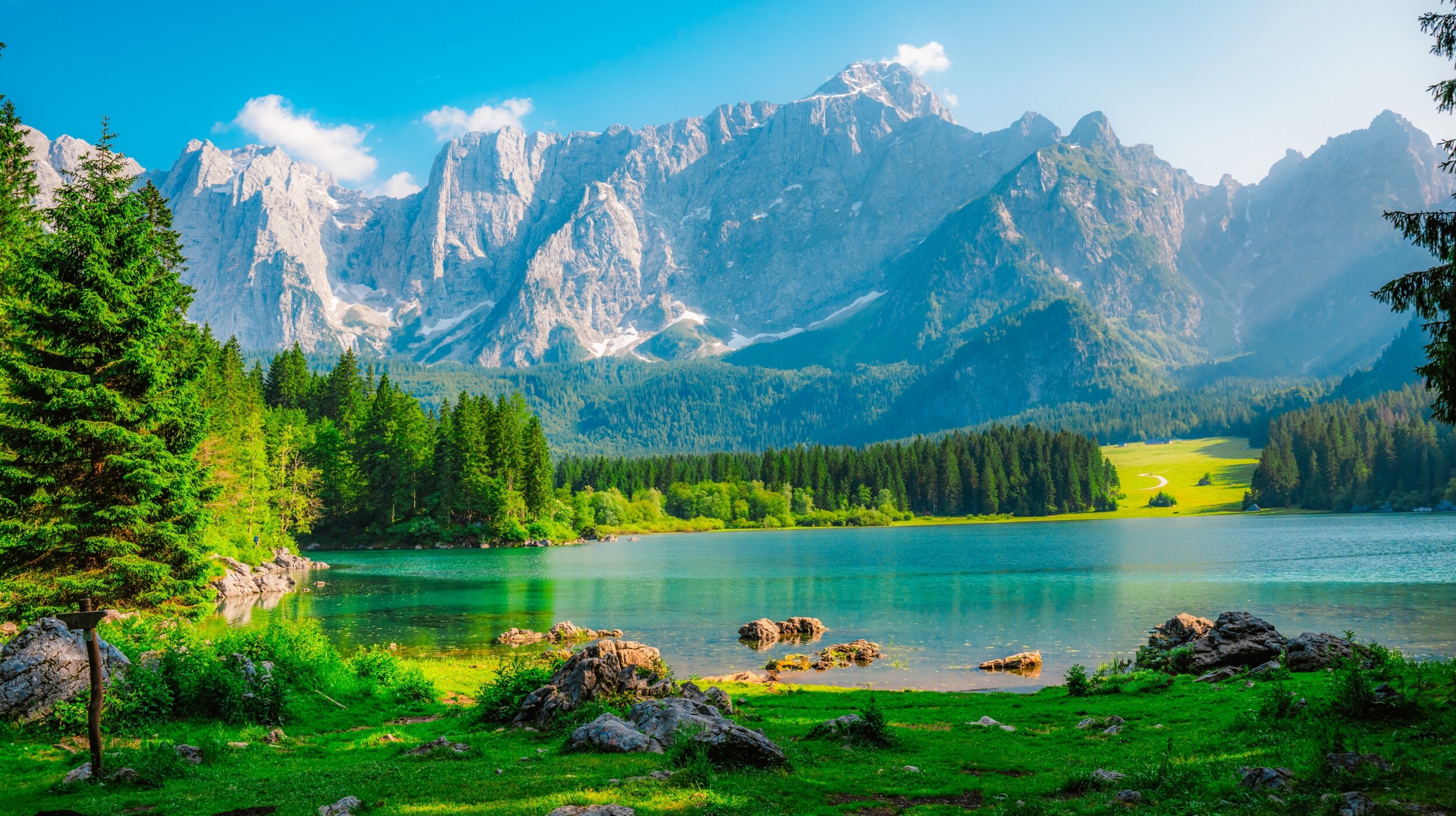 shutterstock_2728155271