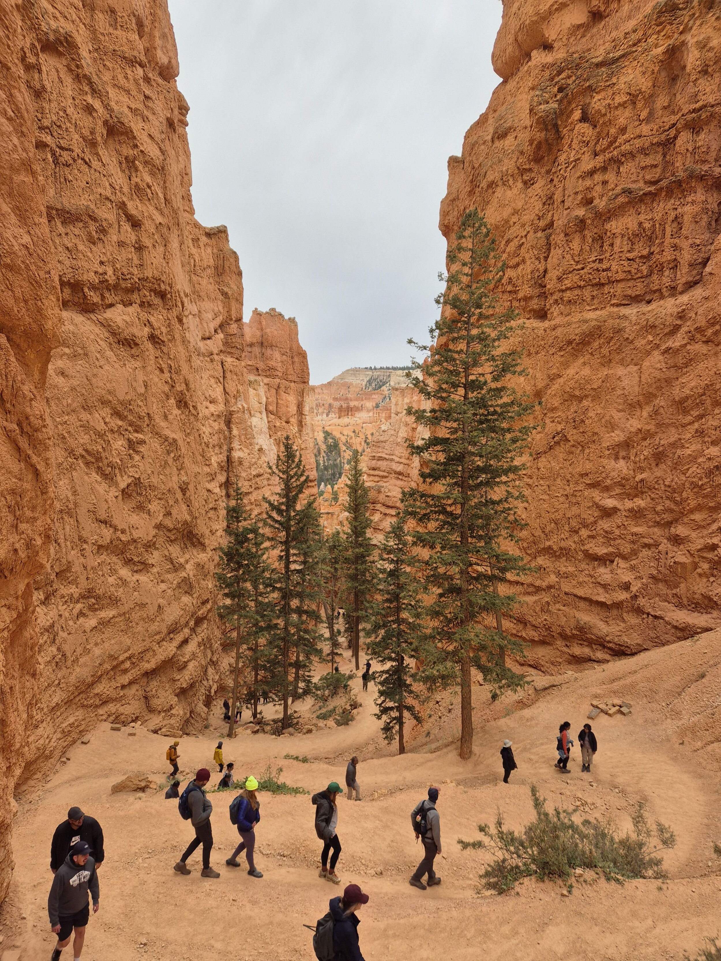 Bryce_Canyon_National_Park2