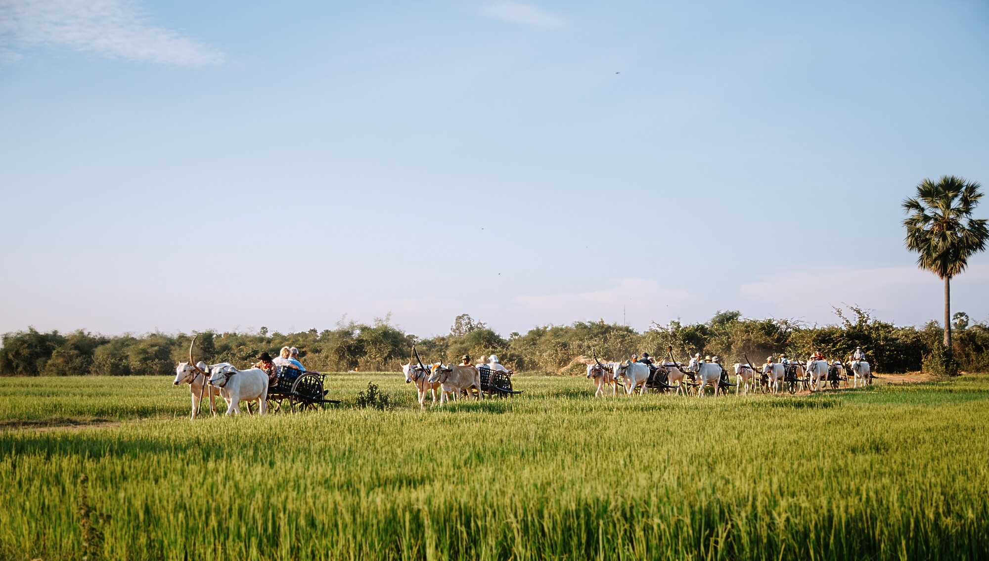 Heritage_Line_Siem_Reap_-_Tonle_121353.JPG