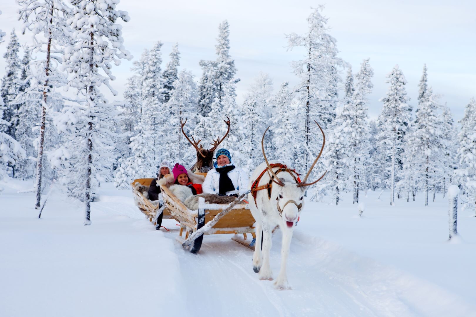 Finnisches Winterwunderland - Finnland