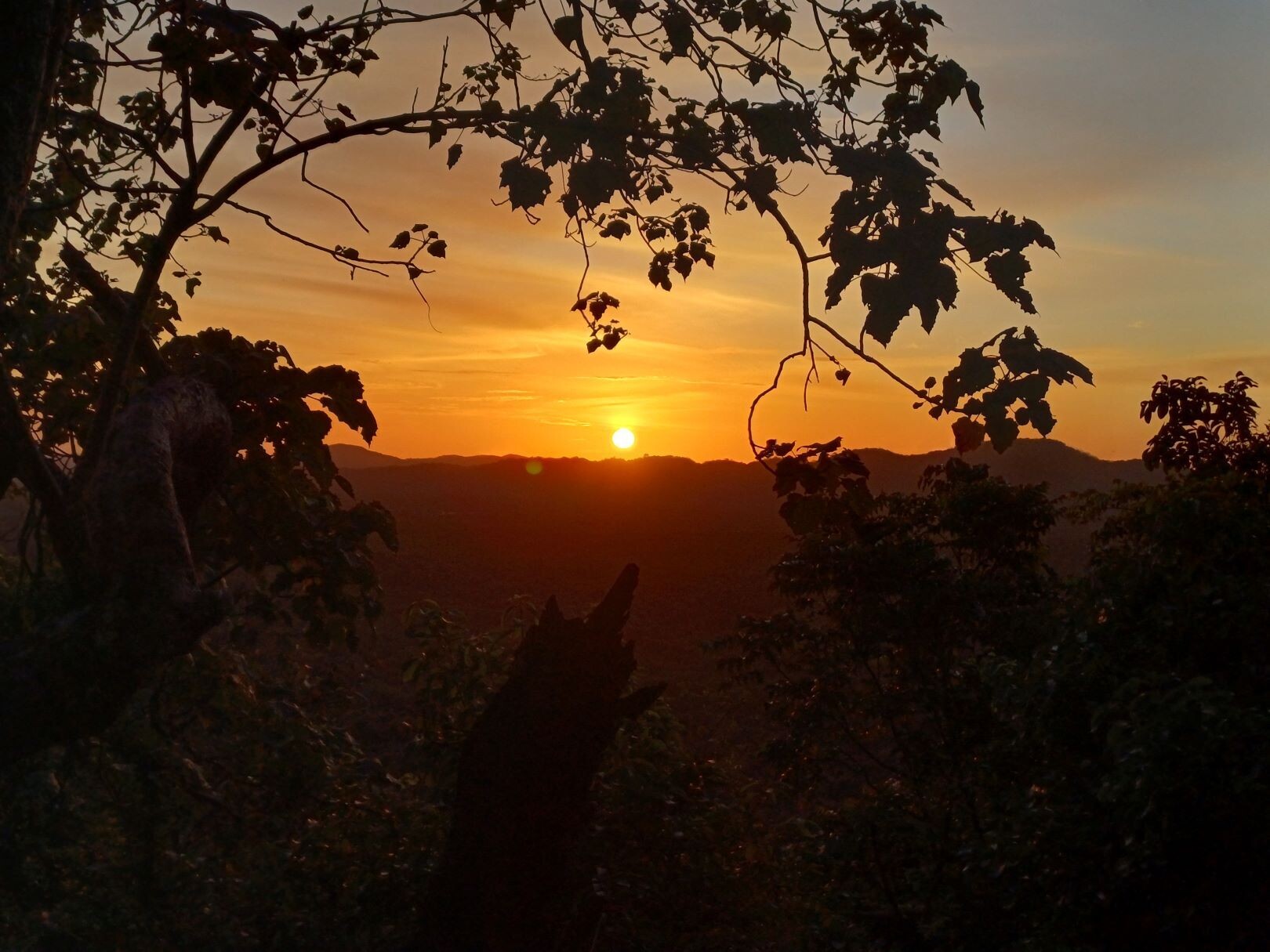 Sonnenaufgang_Sigiriya