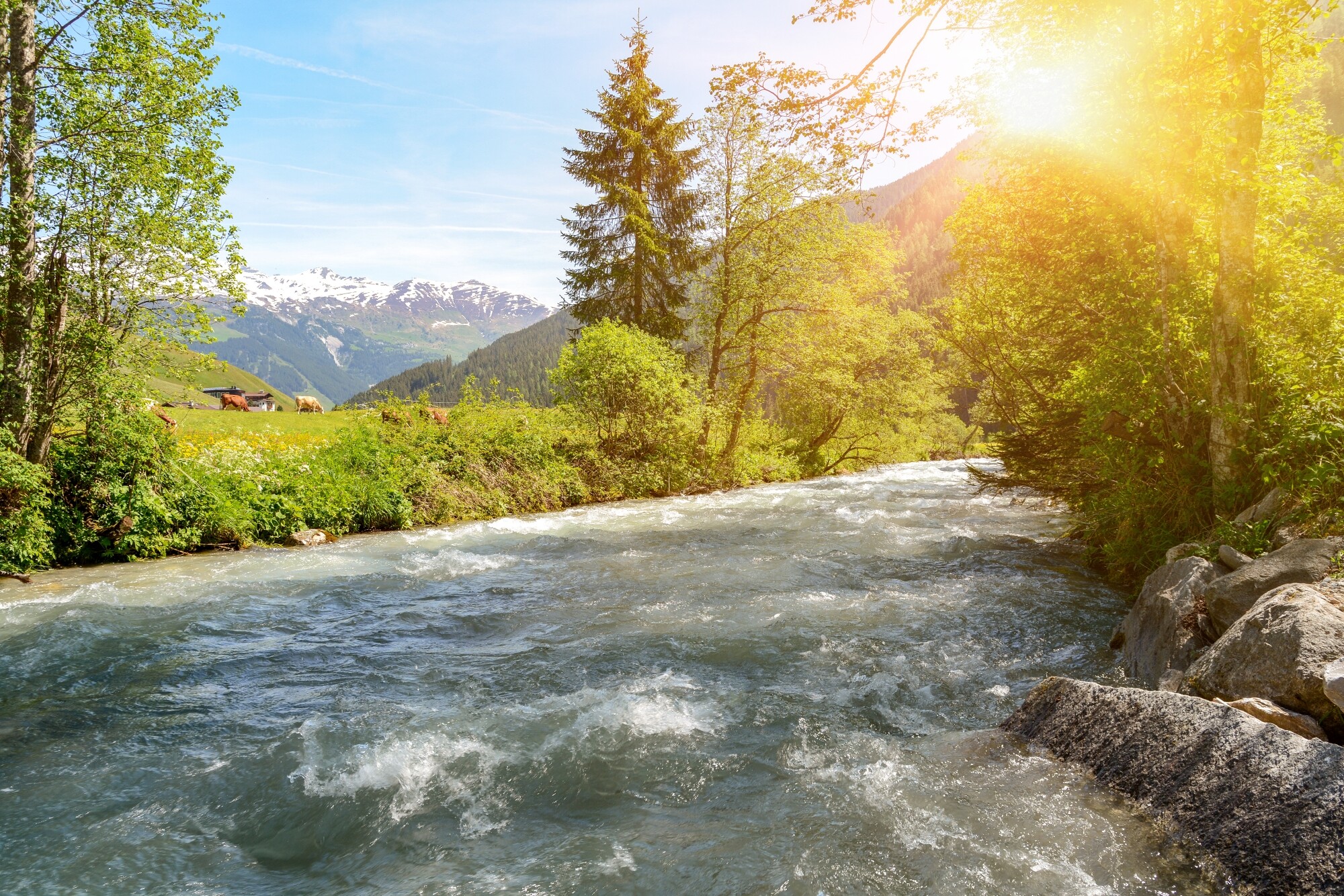 shutterstock_1424496299.jpg