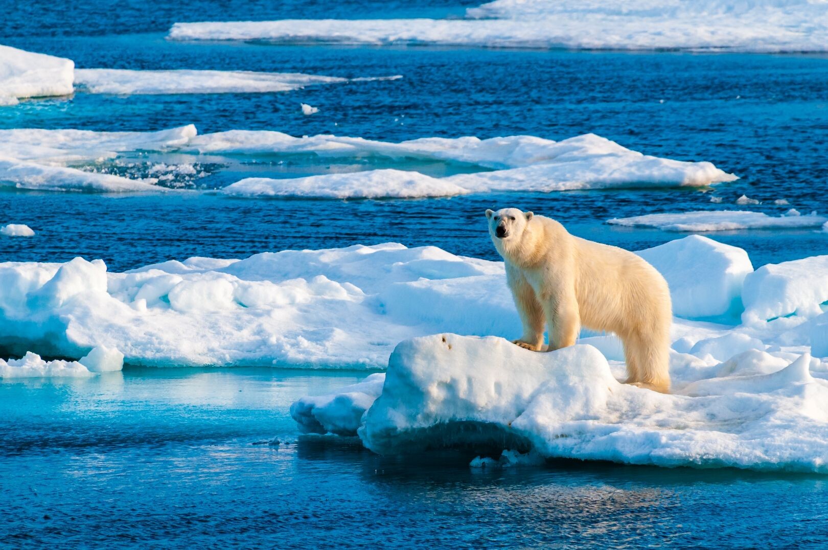 Grönlands Superlative mit der HANSEATIC Spirit - Dänemark