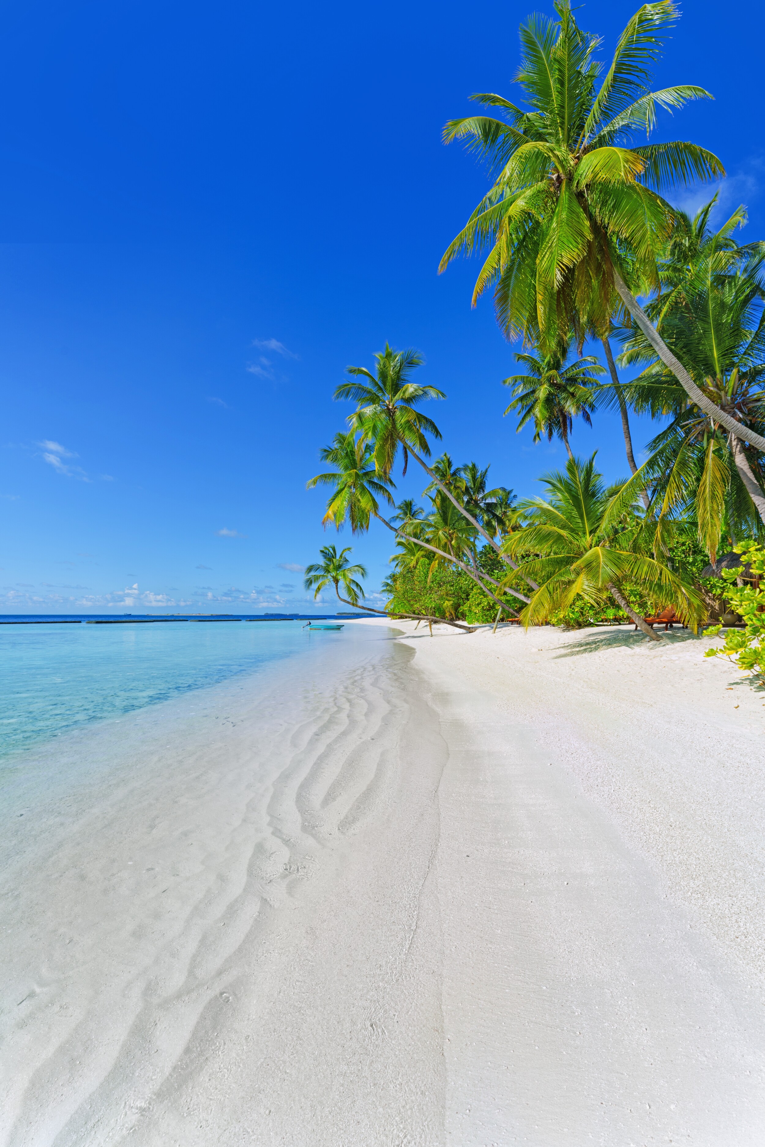 shutterstock_2612474741