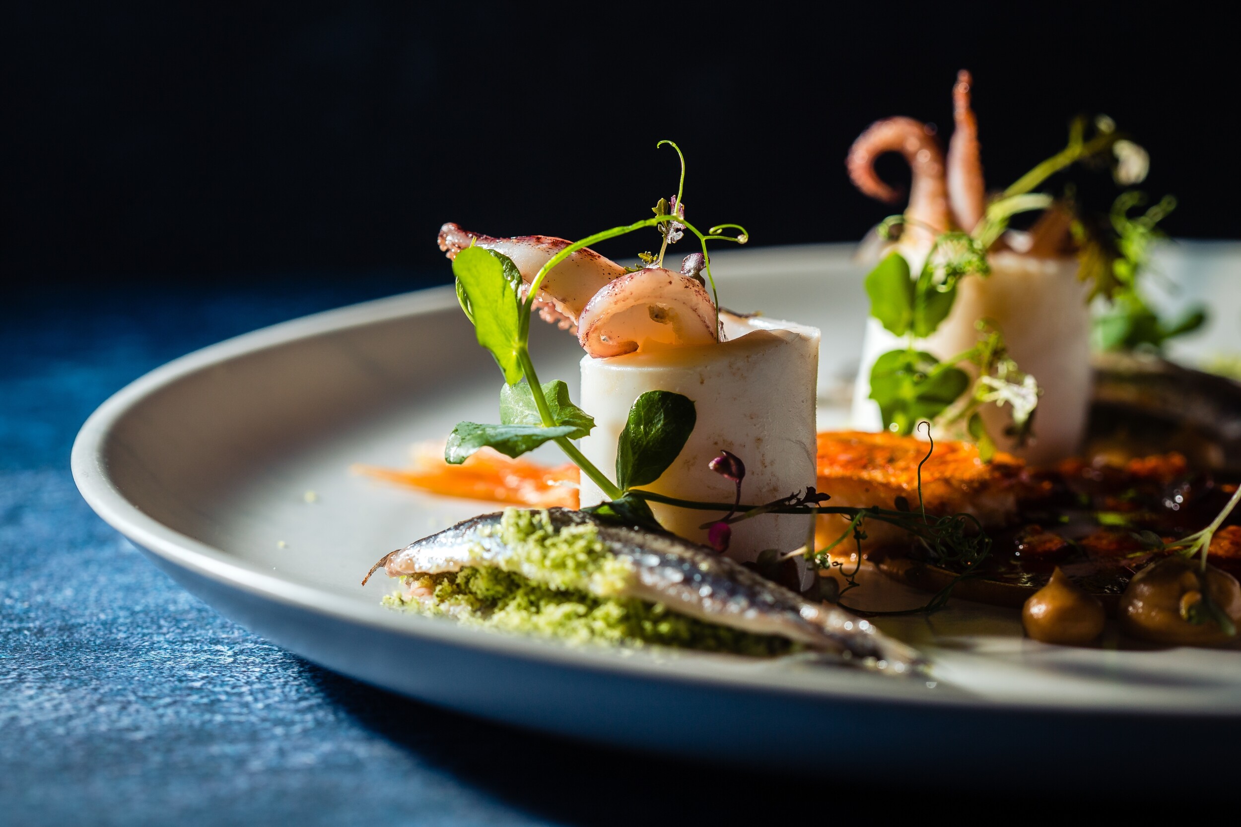 shutterstock_2261051465