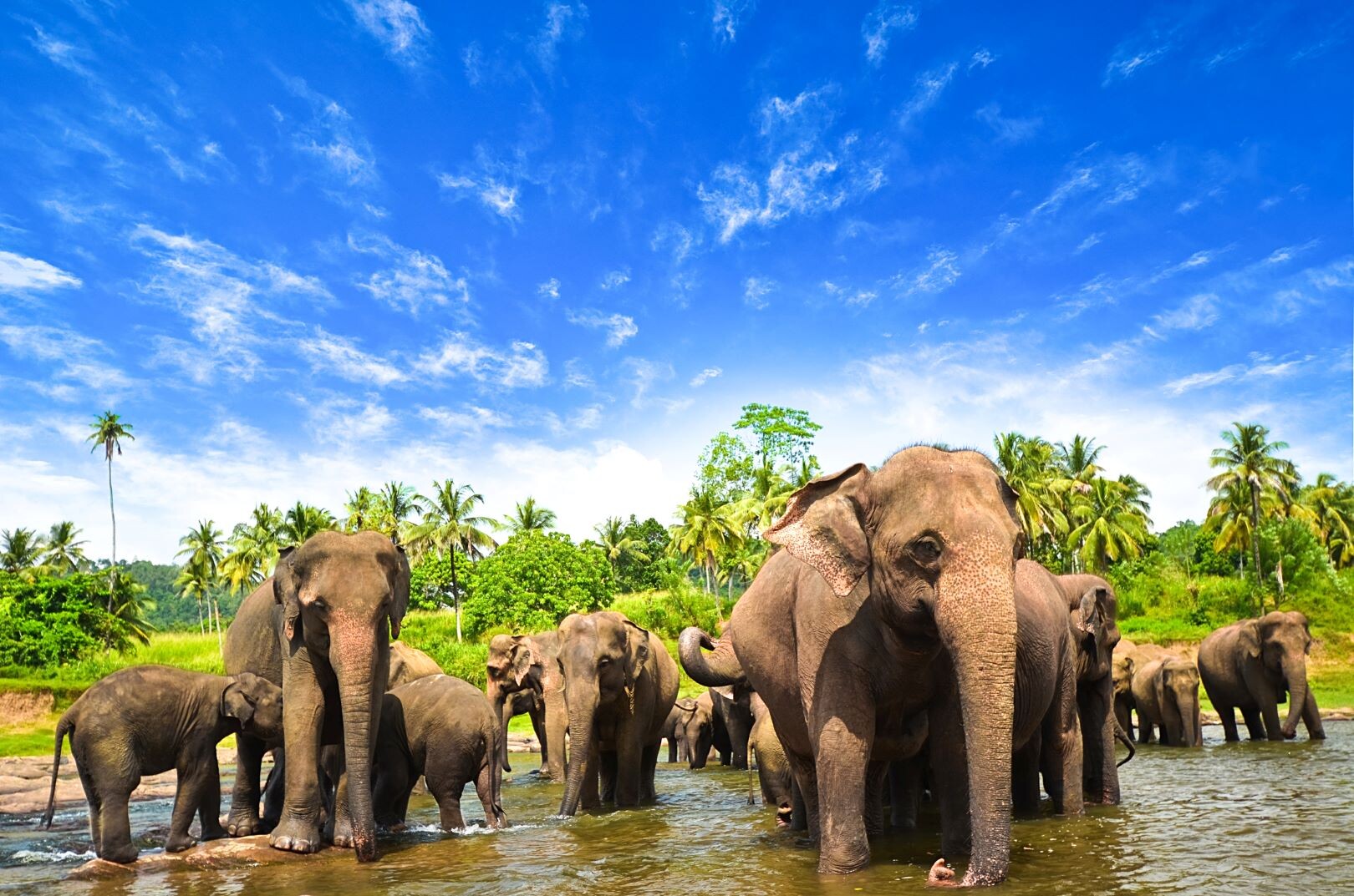 Sri Lanka hautnah erleben - Sri Lanka