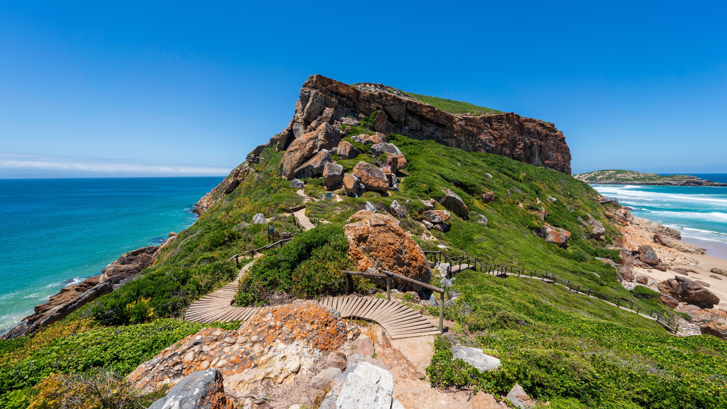 shutterstock_2607098615