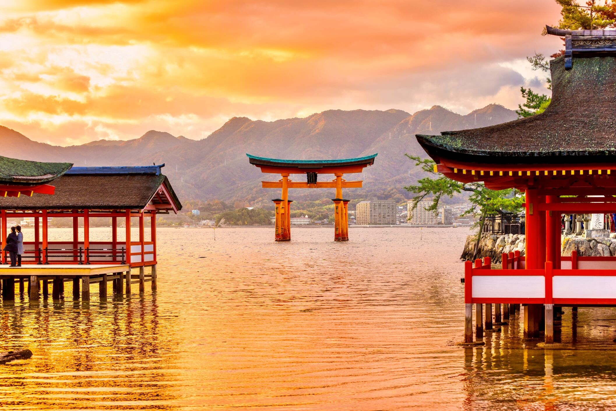 Japan - Zen und Neon im Dialog - Japan