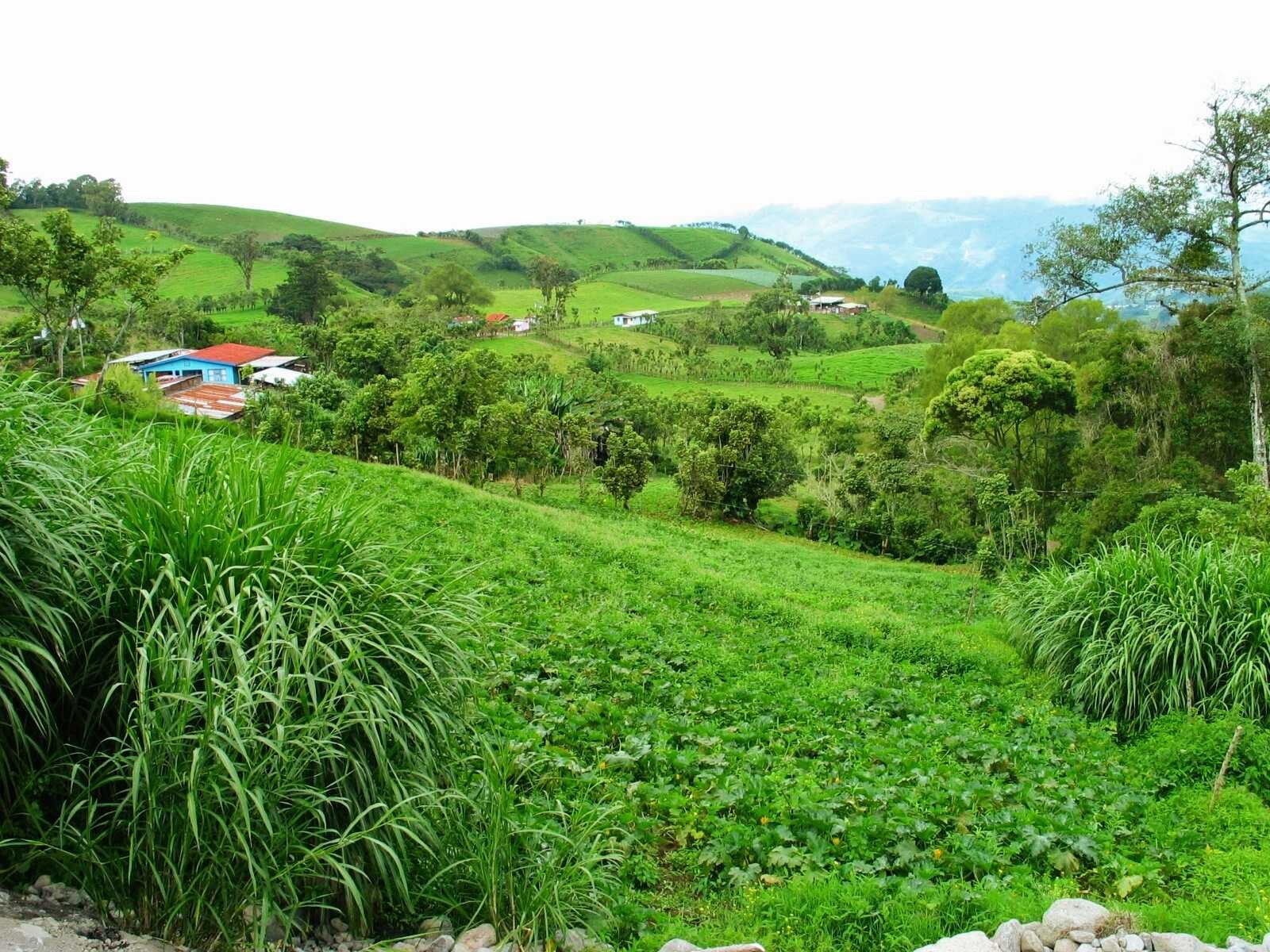 turrialba_03_low.jpg