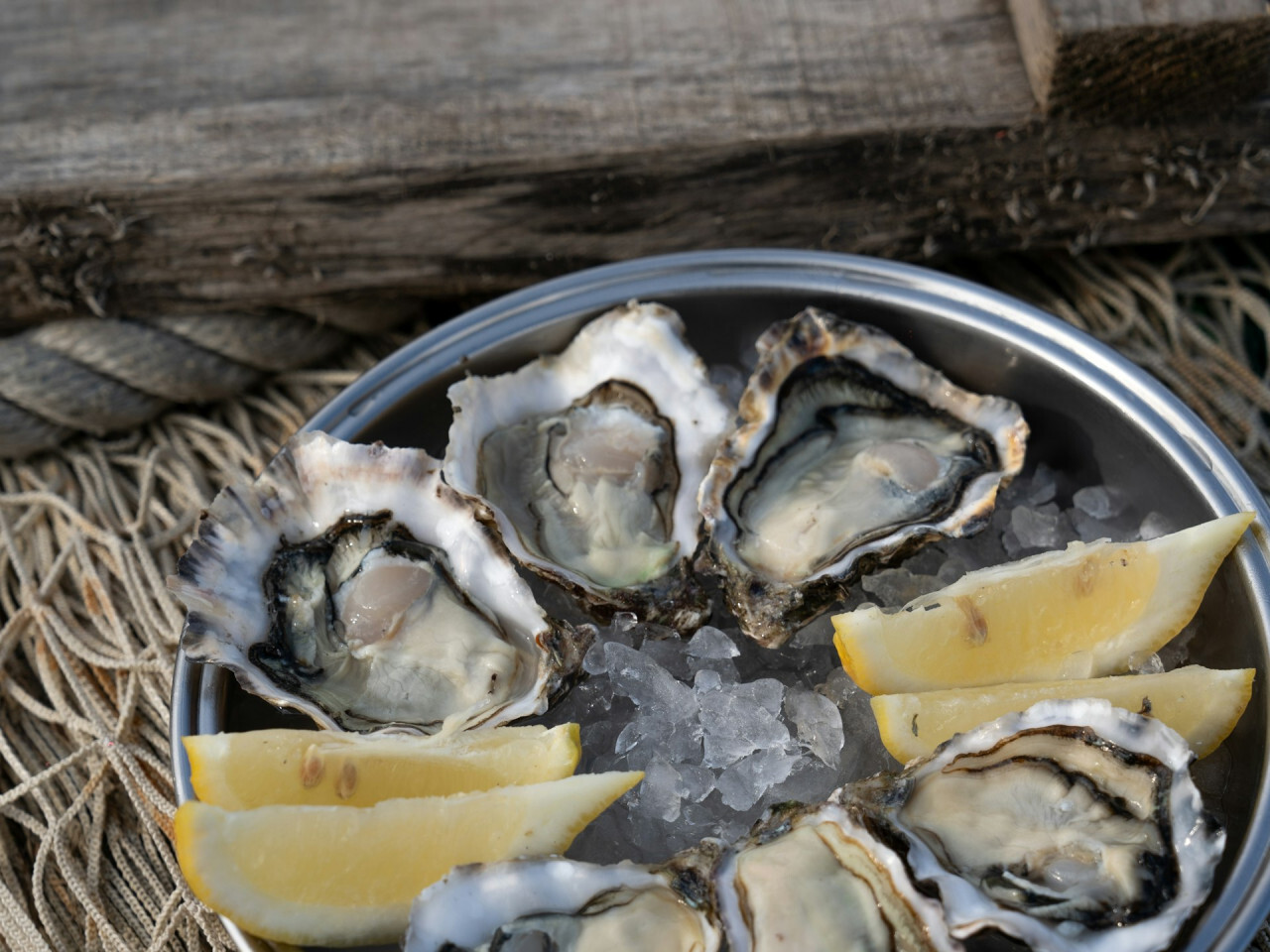Schweden_Austern.jpeg