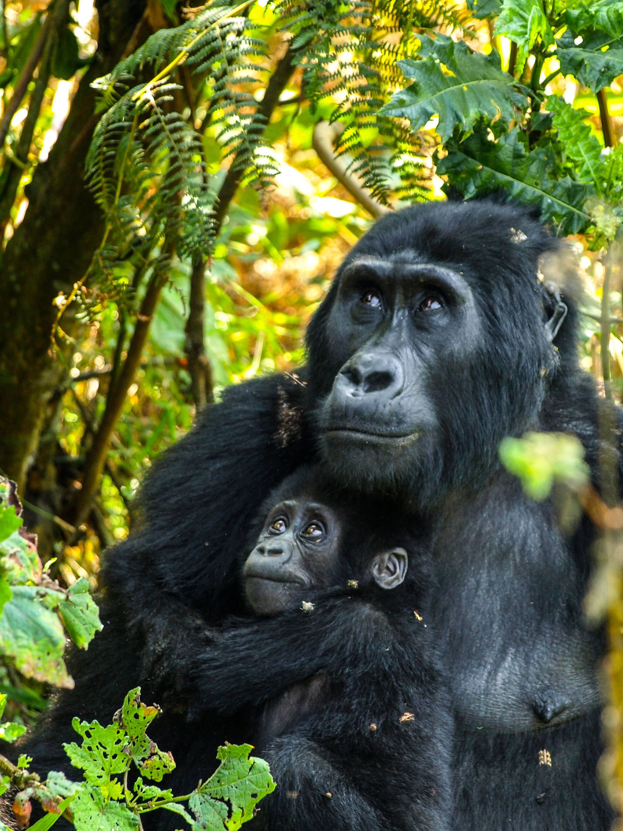 shutterstock_209541445