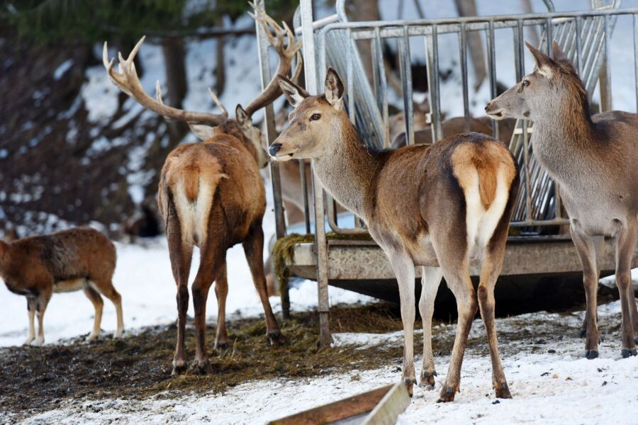 shutterstock_1620580750 (1) shutterstock_1620580750 (1)