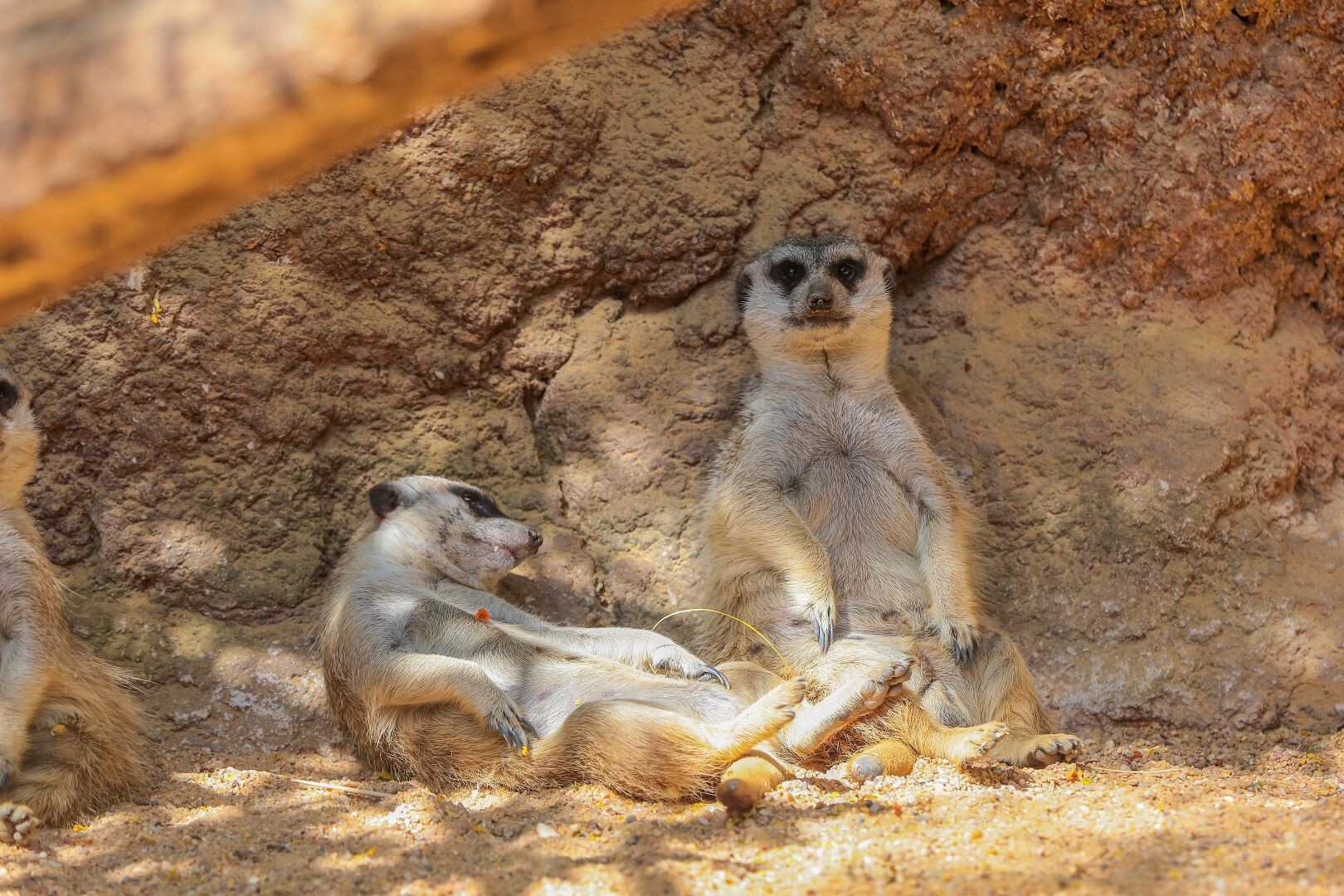 Mietwagenreise Abenteuer Namibia - Namibia