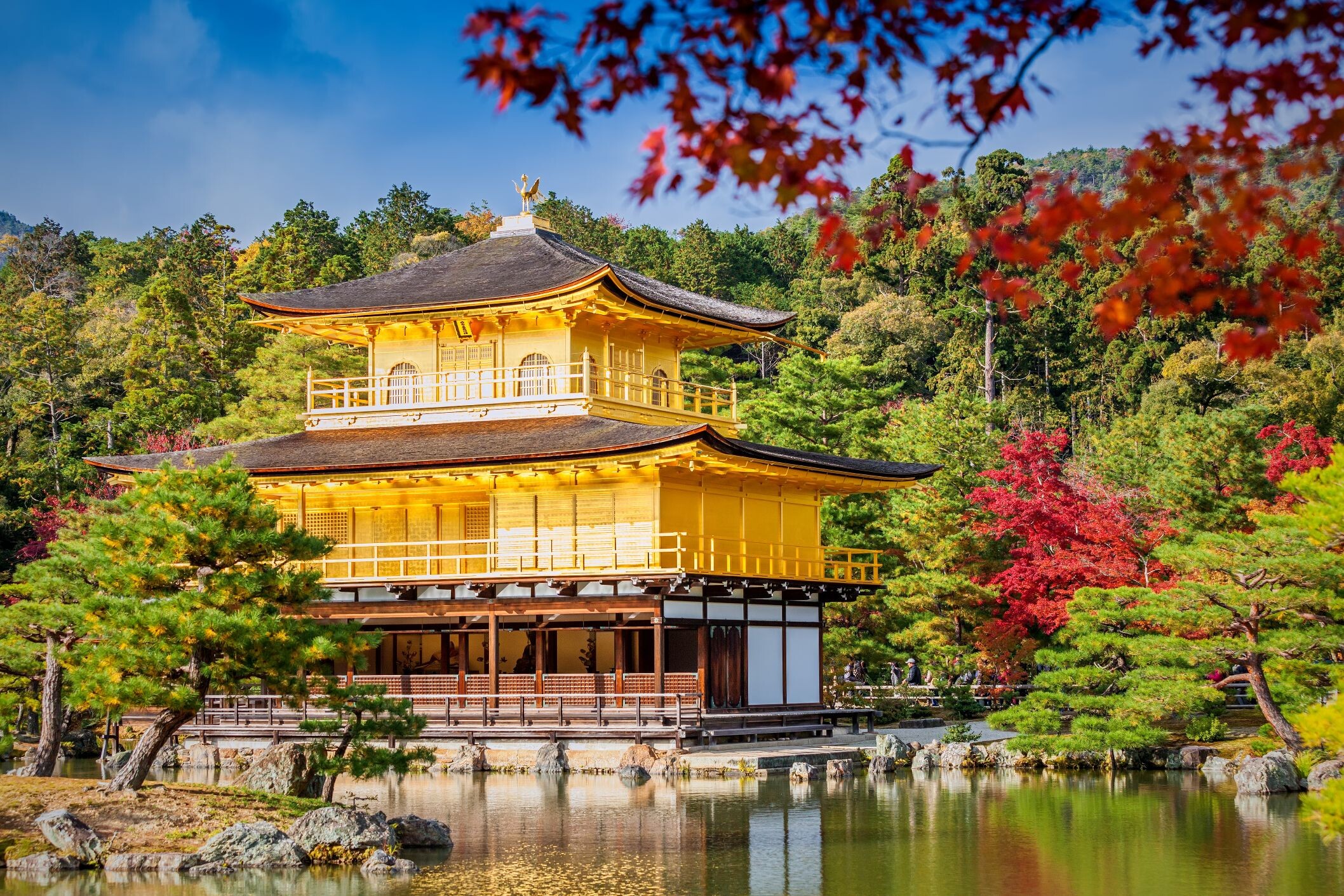 Japan_Kyoto_Goldener_Pavillon_shutterstock.jpg
