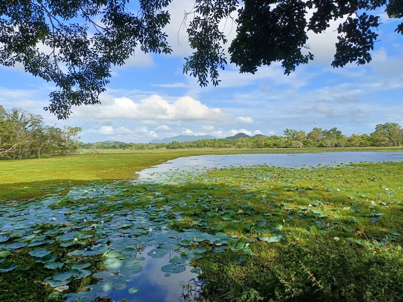 Scenic_Drive_Ulagalla