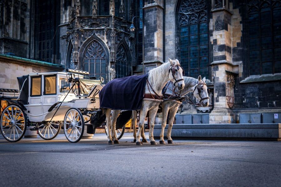 shutterstock_1893003616_(3) (1)