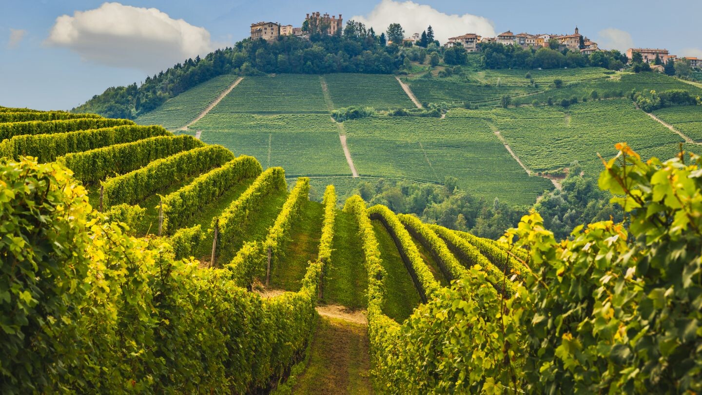 Langhe©iStock.jpg
