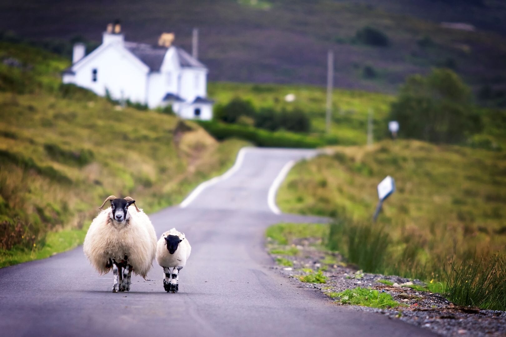 Burren Food Trail - Irland mit allen Sinnen erleben - Irland