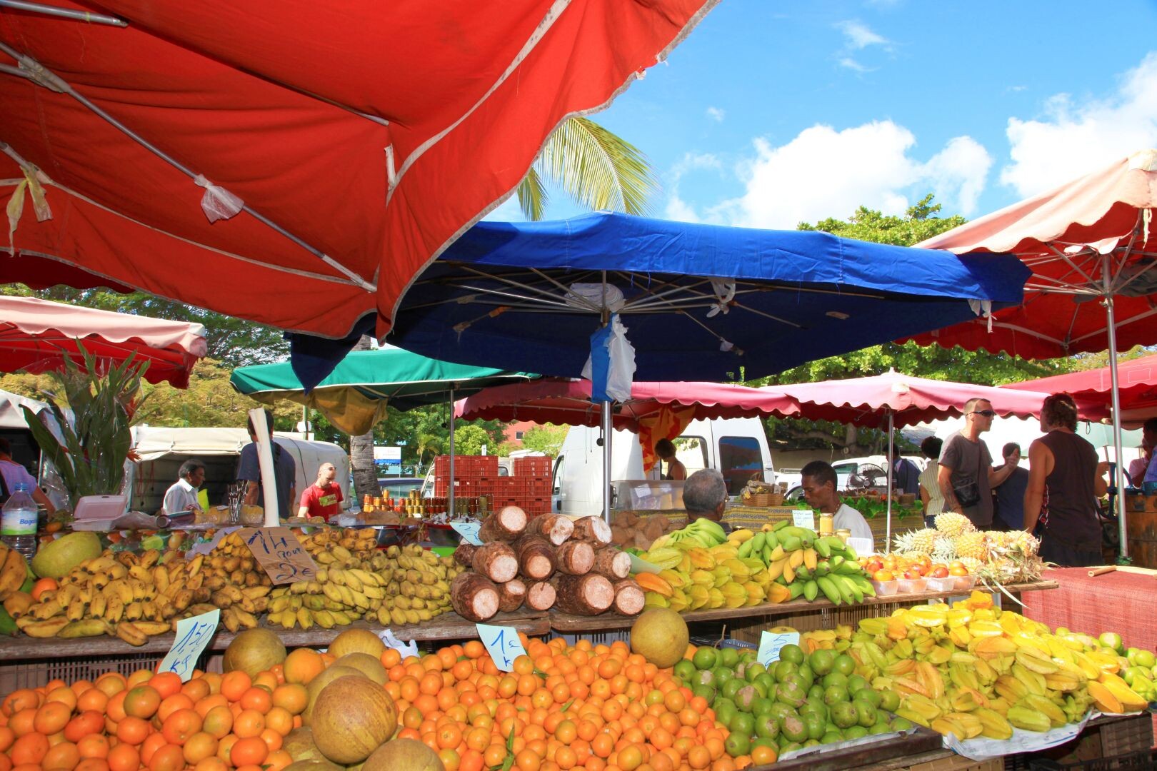 marche02_-_CREDIT_IRT_-_emmanuel_virin.jpg