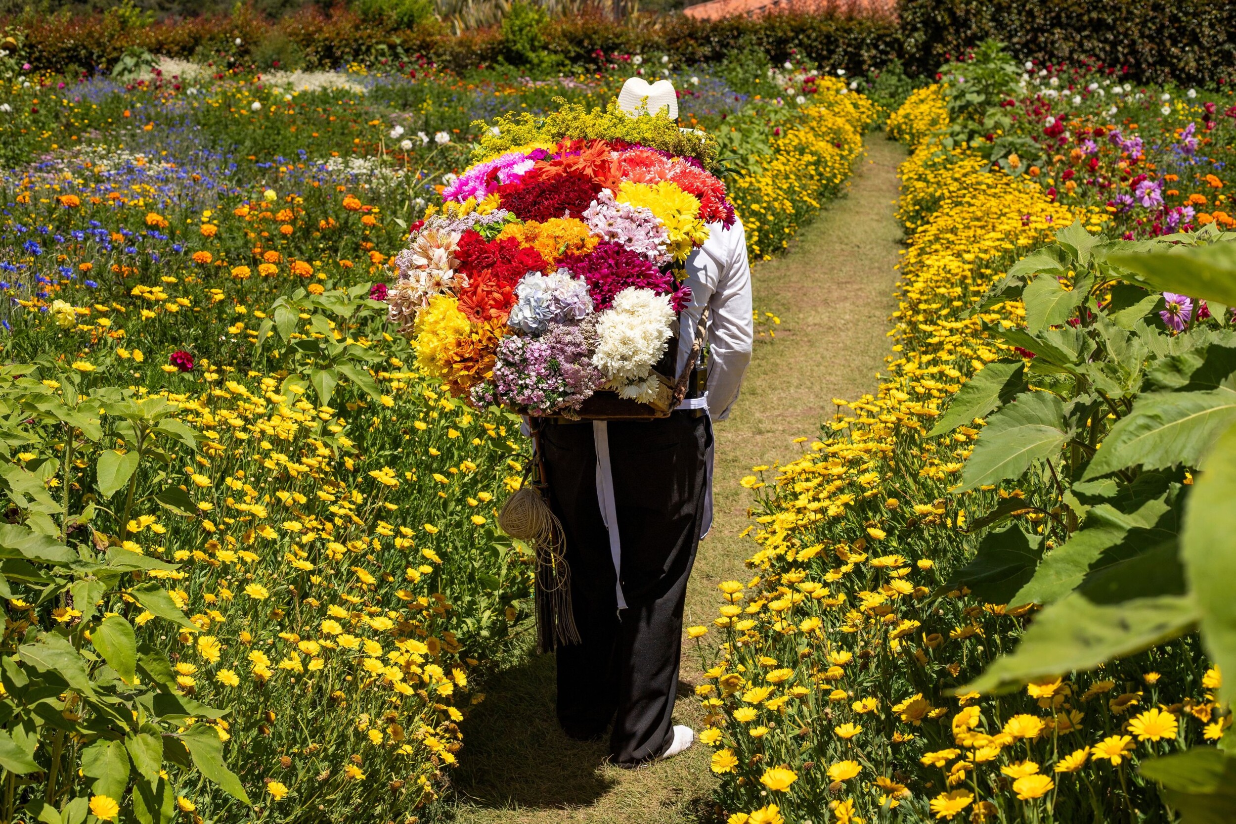 Blumenfarm_Medellin_shutterstock_2341460187.jpg