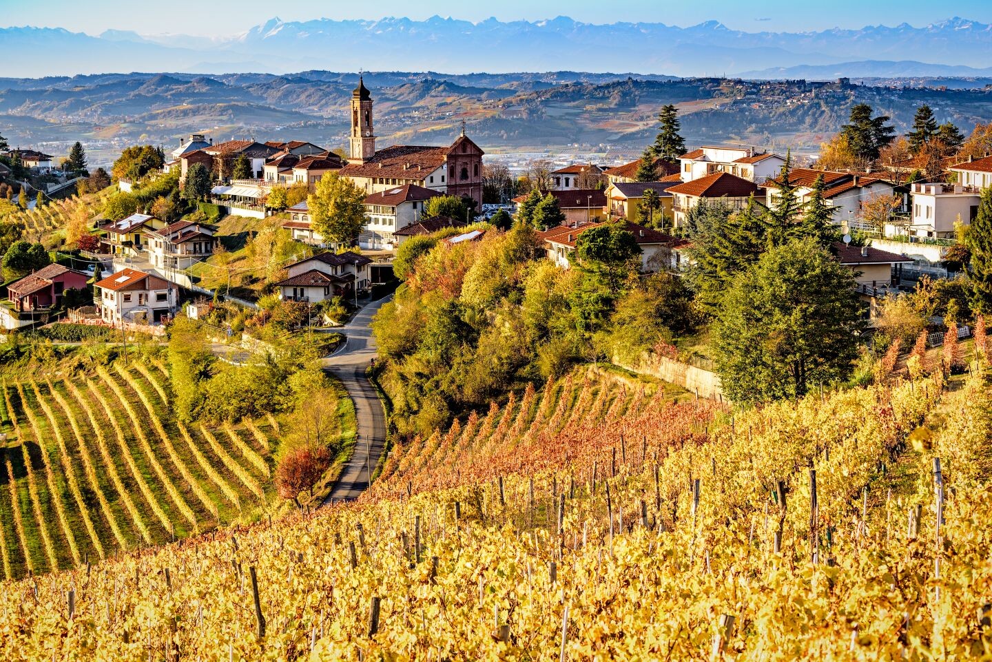 IT_Langhe_Piemont_iStock-644958628.jpg