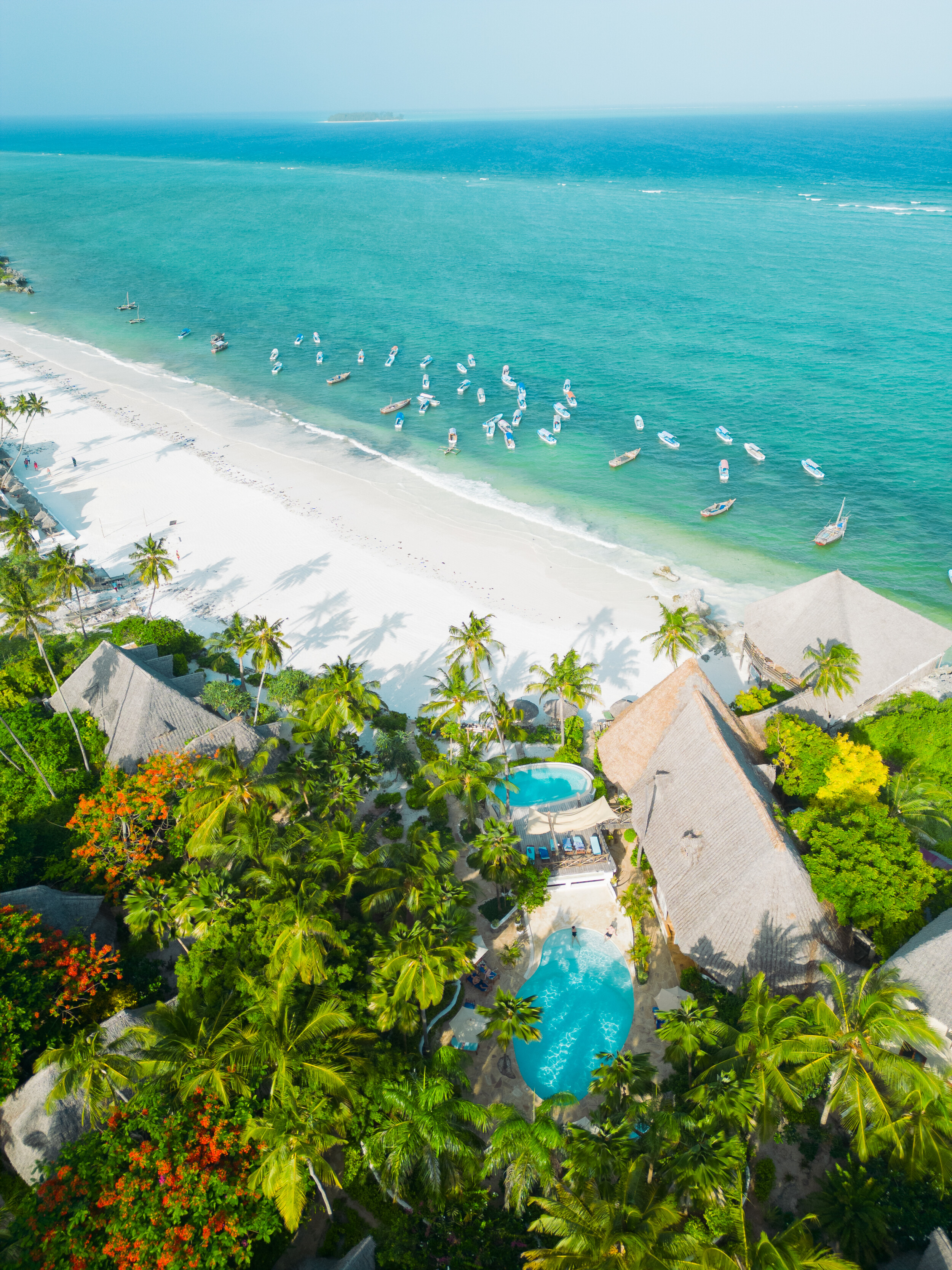 DJI_0961-2 (1)