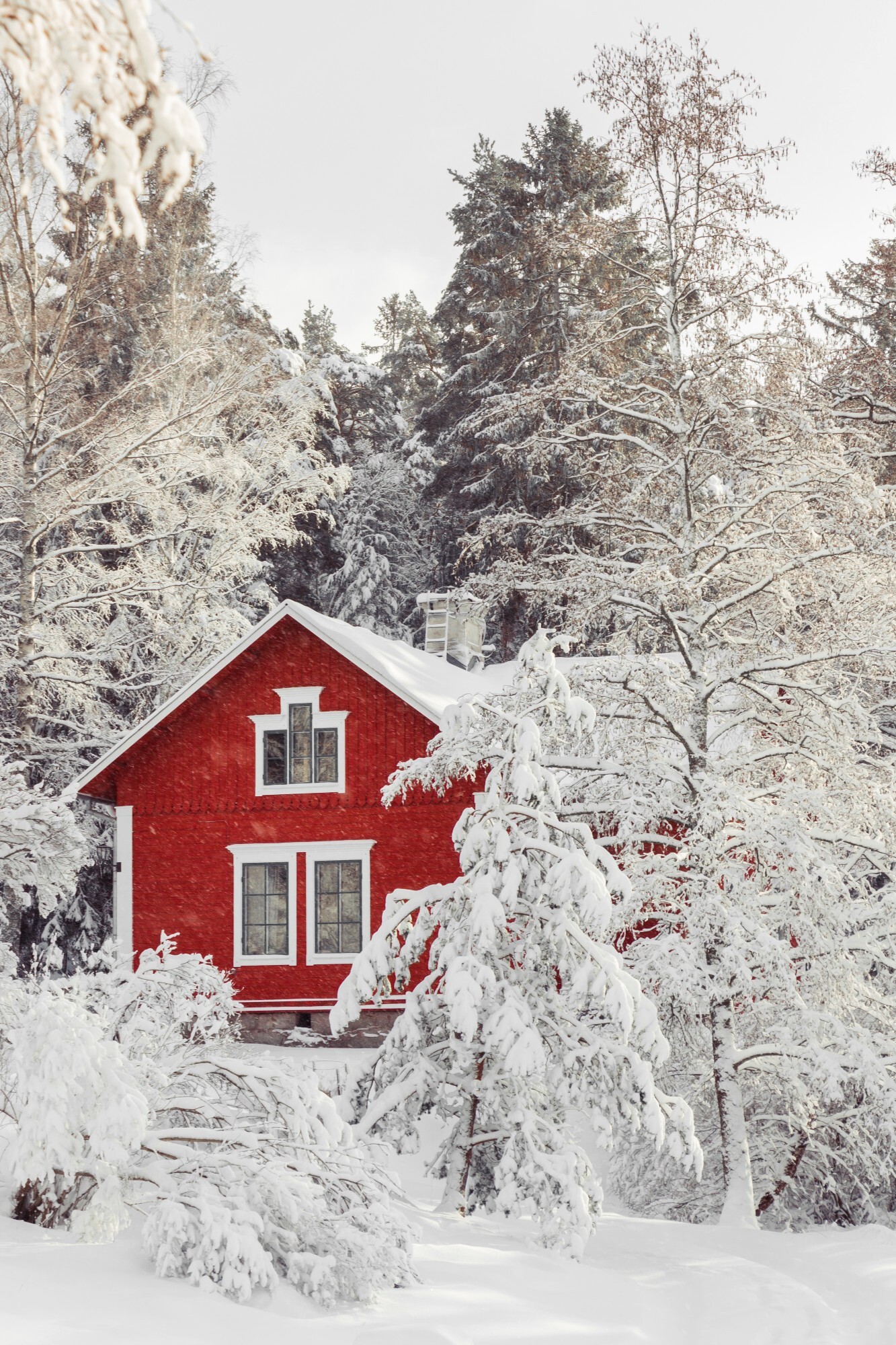 shutterstock_1531870454