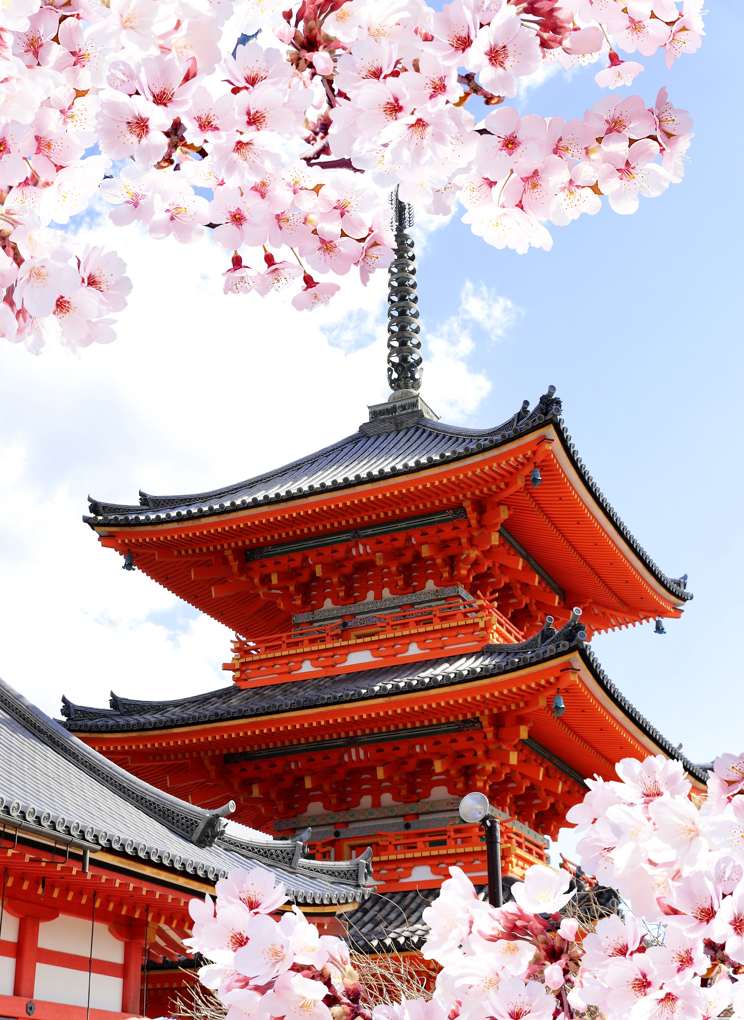 shutterstock_2549873441