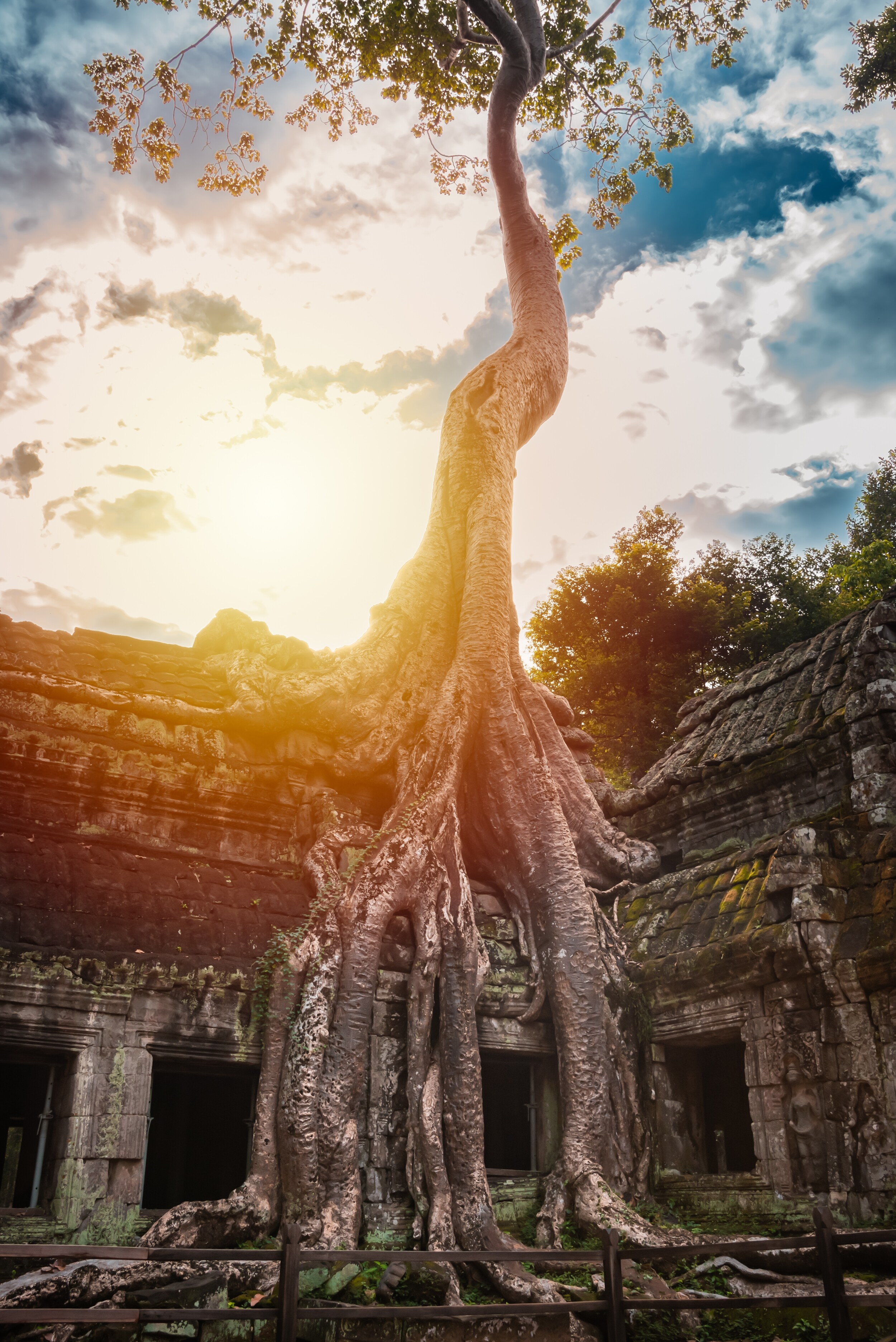 shutterstock_2475279385