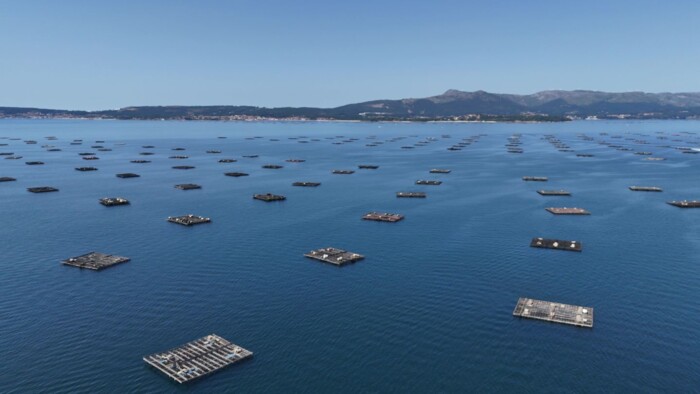 SP_Muschelplattformen_Bateas_R&iacute;a_de_Arousa_Galicien_shutterstock_2521809003.jpg