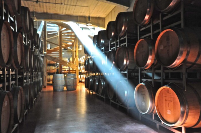 Lacerta_Barell_Cellar.jpg