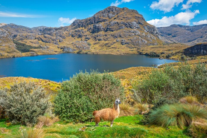 Ecuador-Cajas-Natioanlapark.jpg