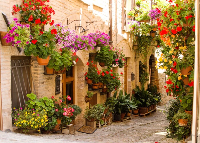 Spello©shutterstock.jpg