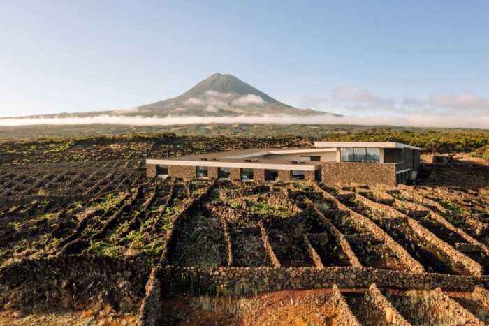 Azoren_Azores_Wine_Company.jpg