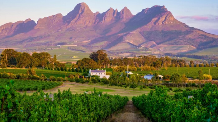S&uuml;dafrika_Stellenbosch_Weinregion_&copy;shutterstock.jpg