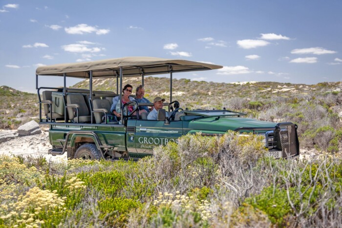 Grootbos_Nature_Reserve_coastal_safari_.jpg
